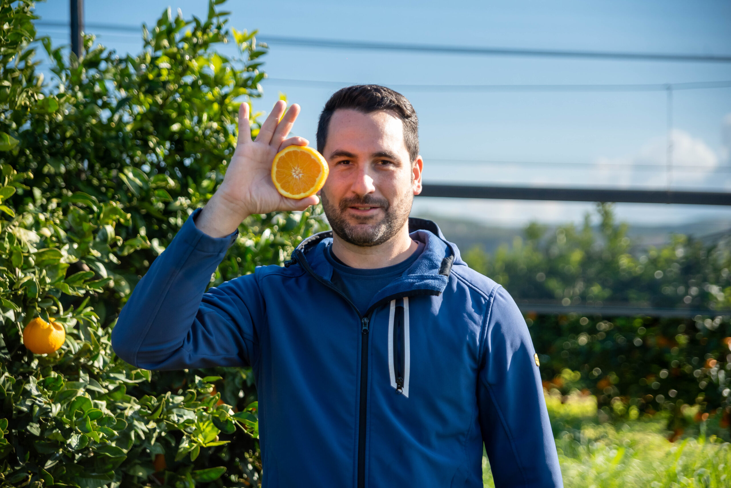 produttori arance di ribera