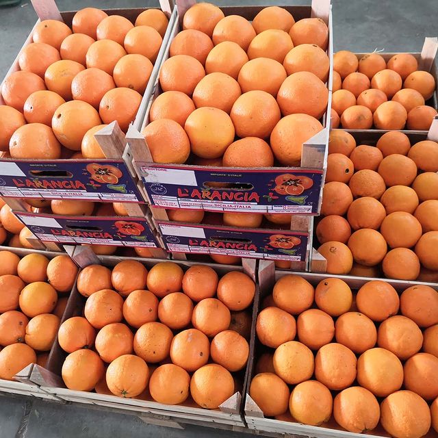 arance sicilia ribera siccità